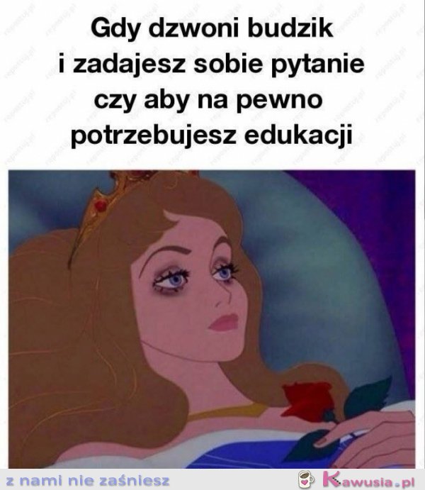Codziennie rano mam taką myśl
