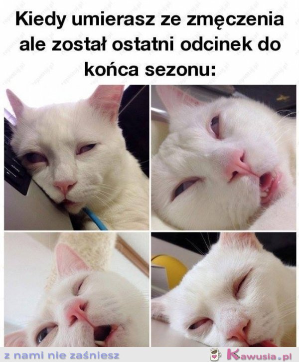 Dam radę, jestem twarda