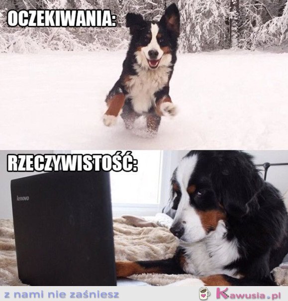 MOJA ZIMA