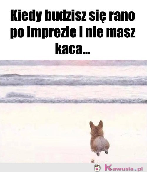 Tyle szczęścia...
