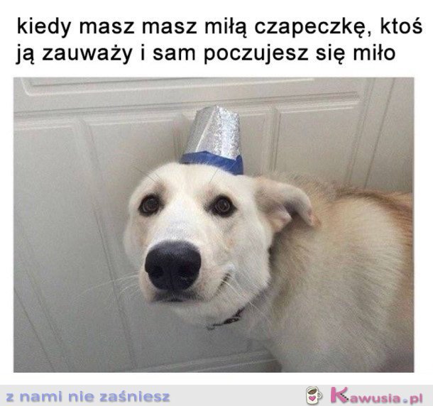 MIŁA CZAPECZKA 