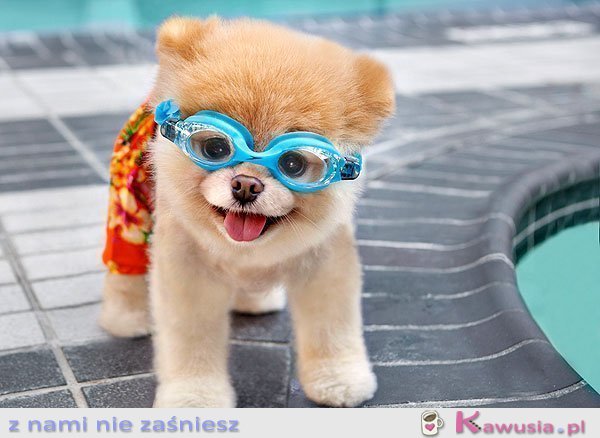 Kto idzie pływać