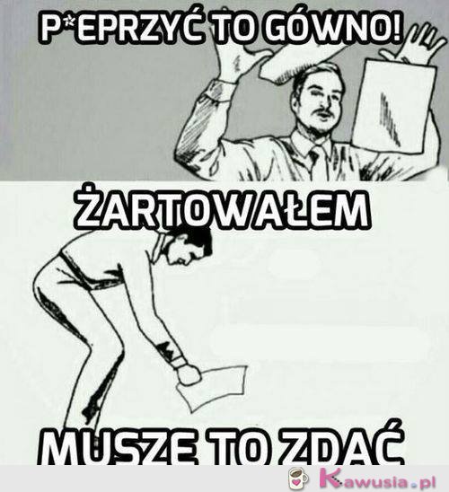 Sesja w jednym obrazku