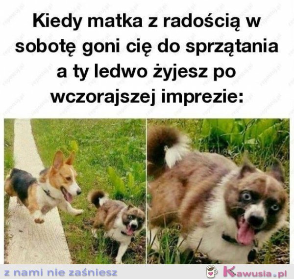 TO UCZUCIE