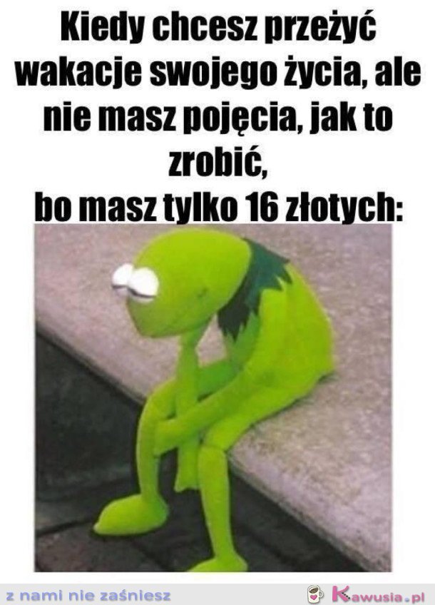 SZALEŃSTWO W WAKACJE