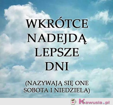 Głowa do g&oacute;ry!