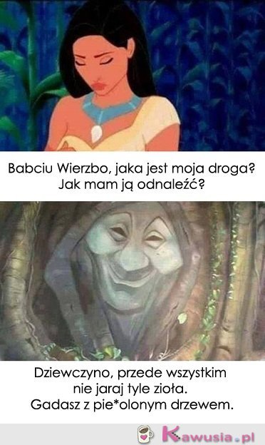 Drzewo dobra rada...