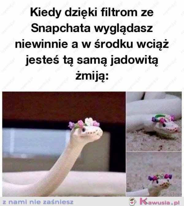 Filtry ze snapczata