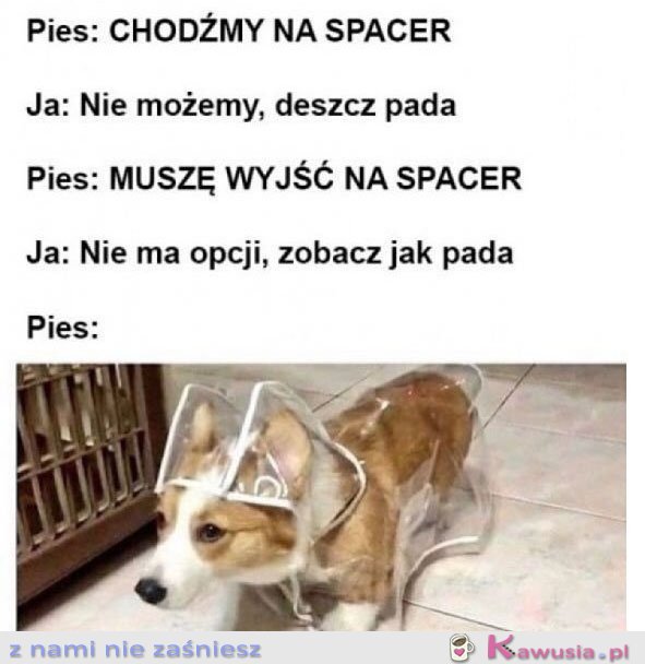 Chodźmy na spacer