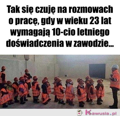 Dokładnie tak