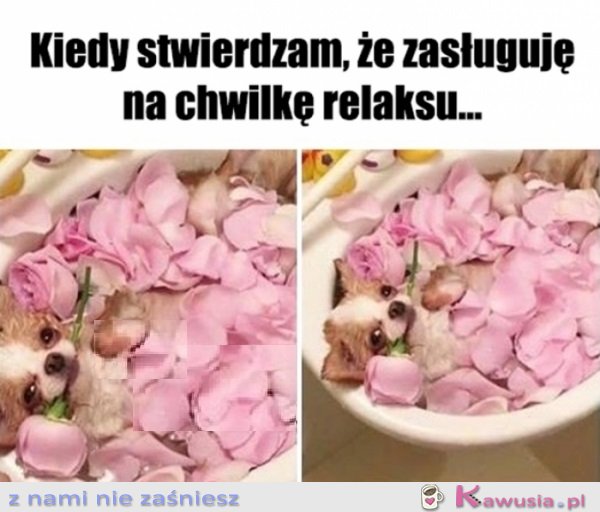 Się należy, a co...