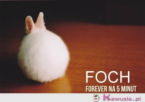 Foch forever na 5 minut