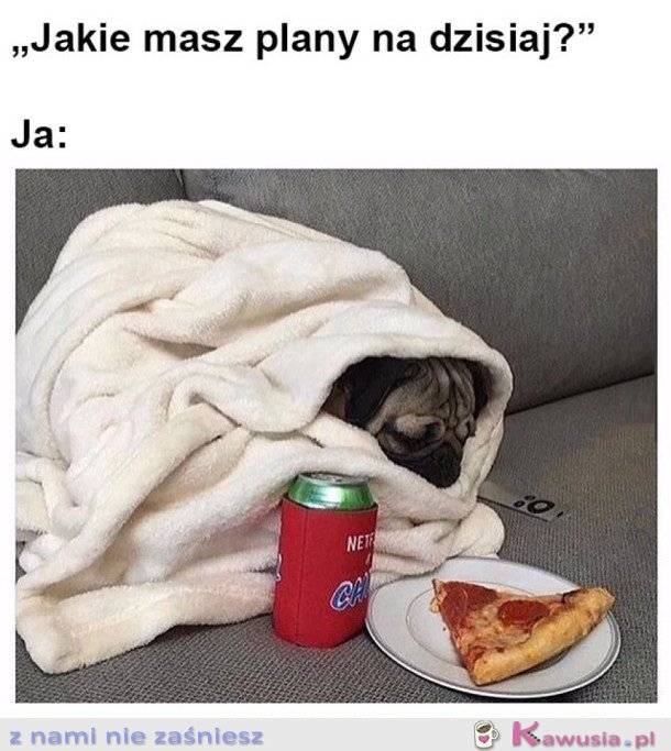 MOJE PLANY NA ŻYCIE