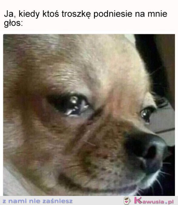 Kiedy jesteś wrażliwa...