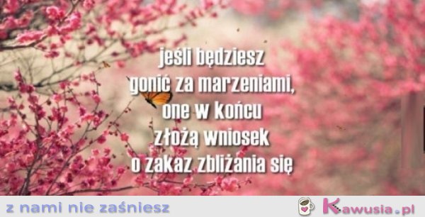 Jeżeli będziesz gonił za marzeniami