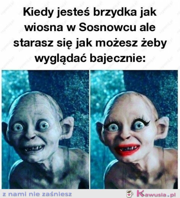 Kiedy jesteś brzydka jak wiosna w Sosnowców