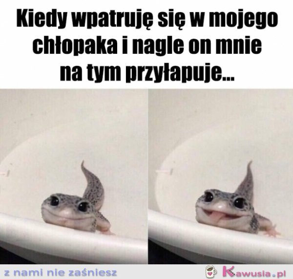 Hej przystojniaku