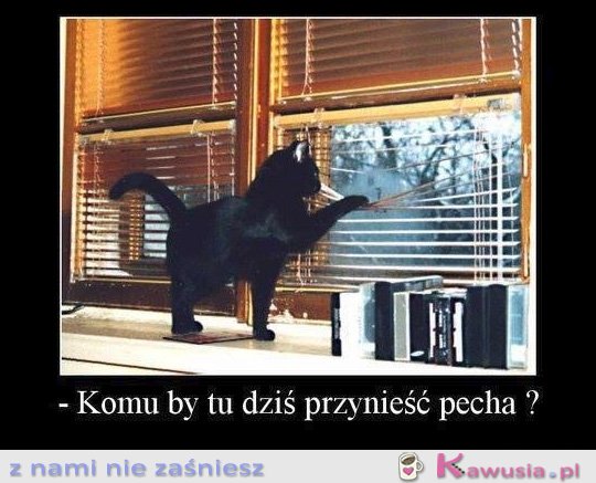 Komu by tu dziś