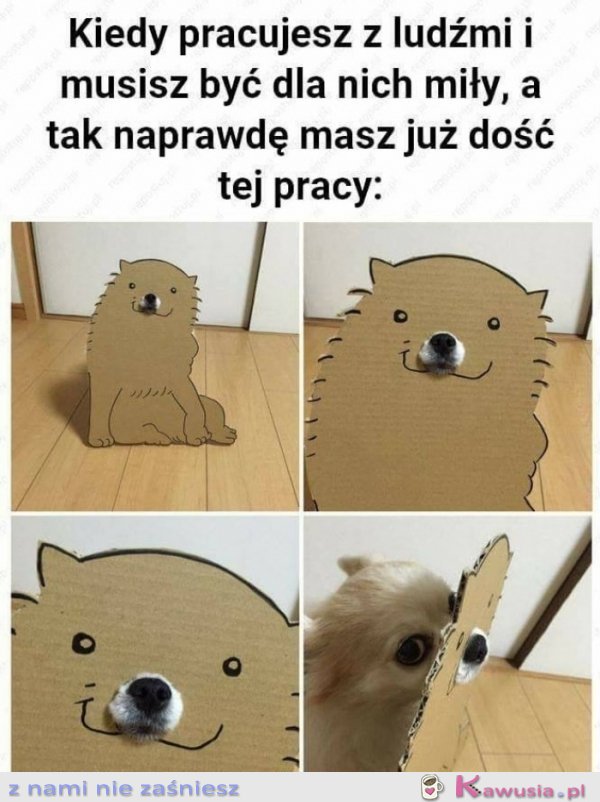 Kiedy pracujesz z ludźmi i musisz