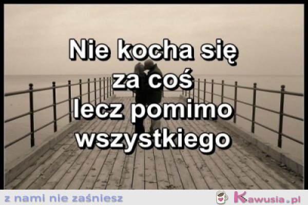 Nie kocha się za coś...