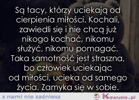 Są tacy, którzy uciekają od cierpienia miłości...