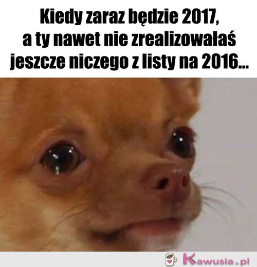 Ten czas tak szybko leci ...