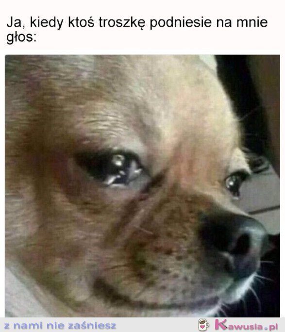 Kiedy jesteś wrażliwa...