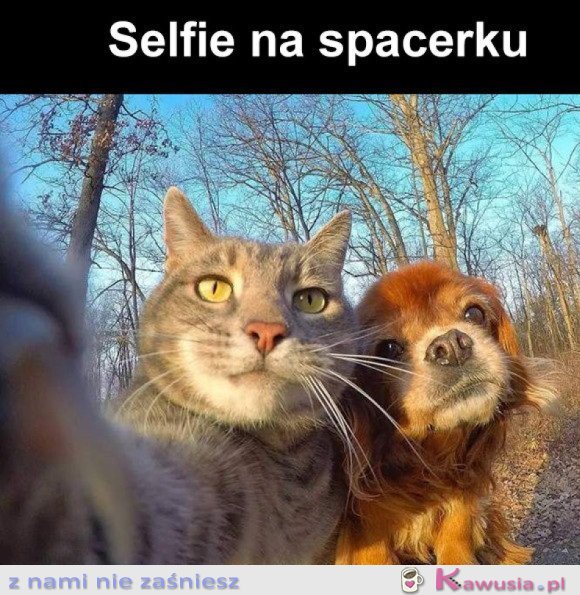 SŁODKIE SELFIE