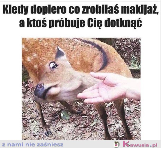 Dopiero się umalowałam