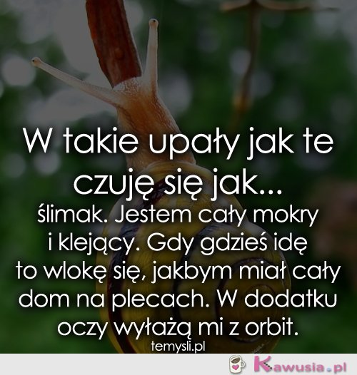 W takie upały jak te czuję się jak...