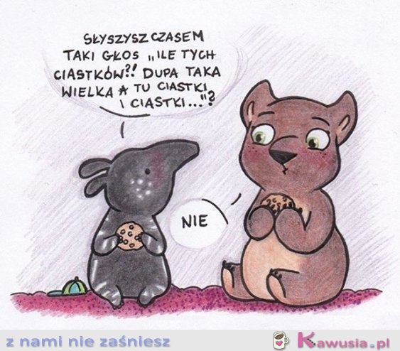 Ciastki