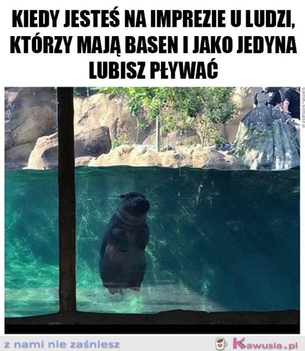 I TAK SIĘ DOBRZE BAWIĘ