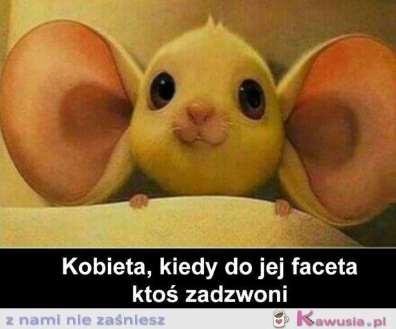 KOBIETY TAKIE SĄ