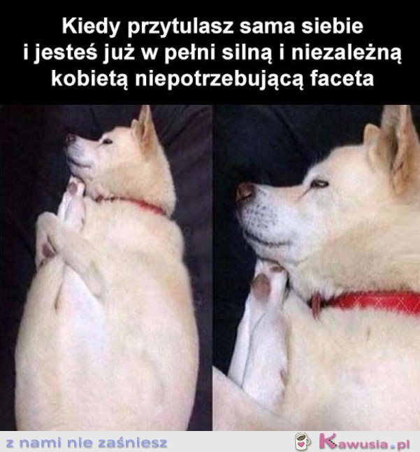 SILNA I NIEZALEŻNA