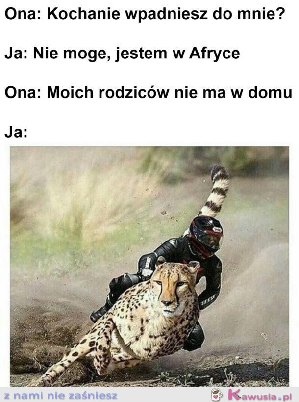 Pędzi z Afryki