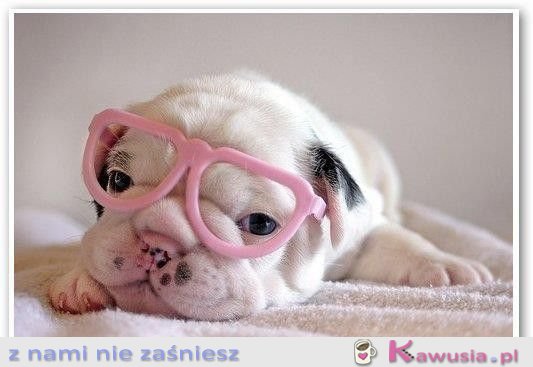 Dzień dobry :)