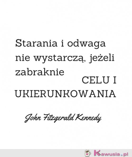 Starania i odwaga...