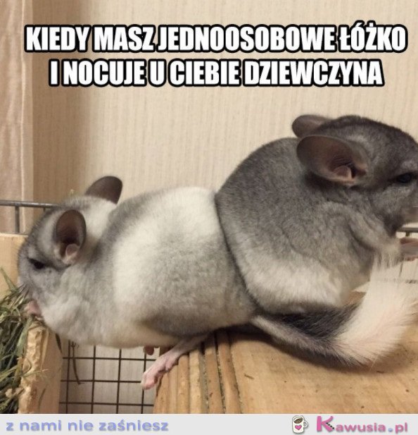 Kochanie jakoś się zmieścimy