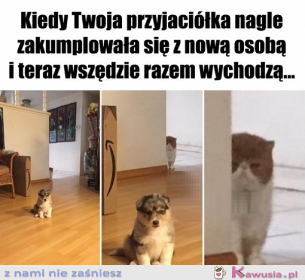 Jeszcze zobaczymy...