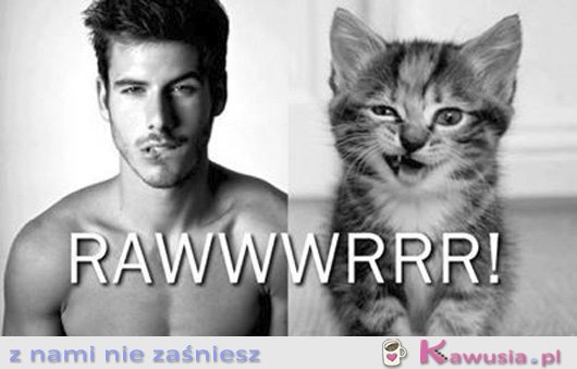 RAWWWRRR!