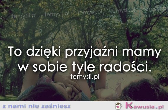 Przyjaźń