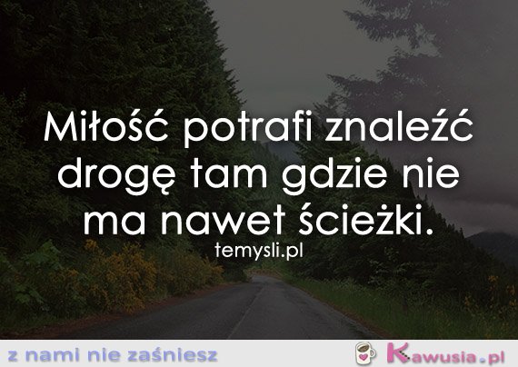 Miłość potrafi znaleźć drogę tam gdzie