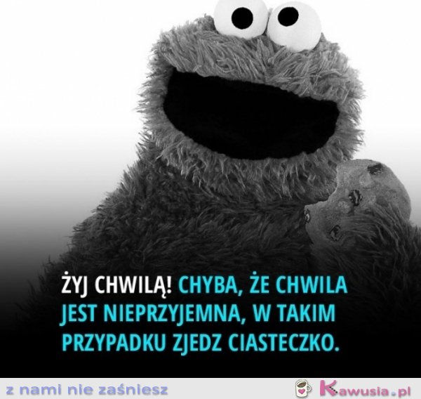 Żyj chwilą...