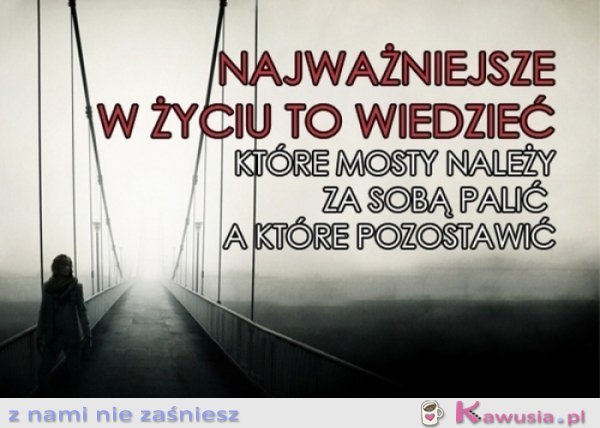 Najważniejsze w życiu to wiedzieć...