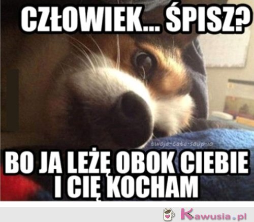 No kocham Cię przecież, śpisz?