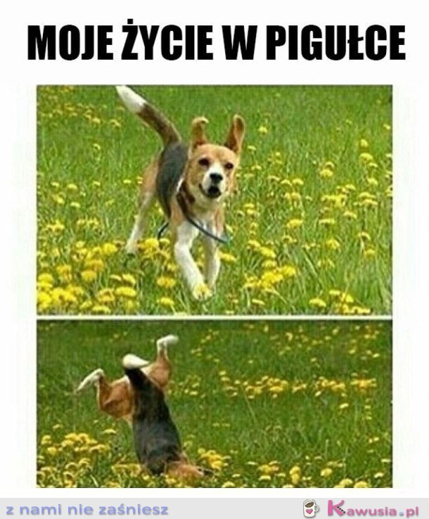JEST DOBRZE I ZARAZ JEST ŹLE
