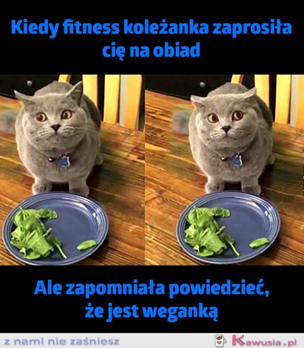 NIENORMALNA KOLEŻANKA