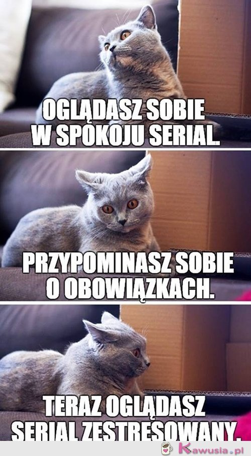 Jak tu się wyluzować...