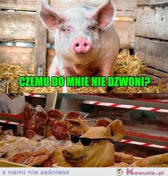 Czemu do mnie nie dzwoni?