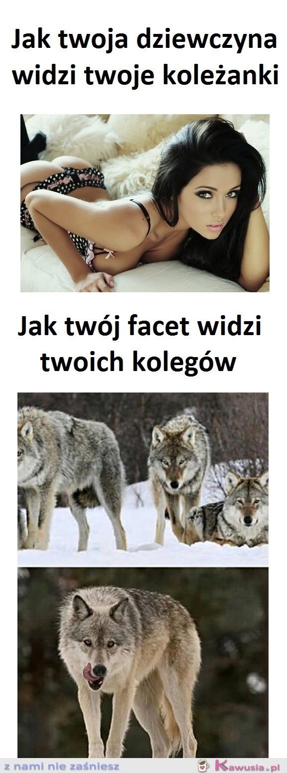 Jak widzicie swoich znajomych